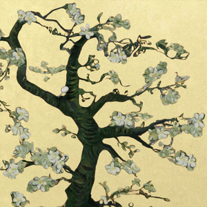 中国BBBBBBBBB毛毛
