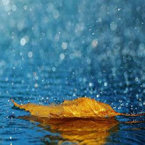 中国BBBBBBBBB毛毛
