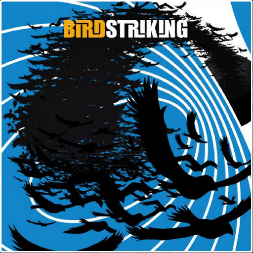 中国BBBBBBBBB毛毛
